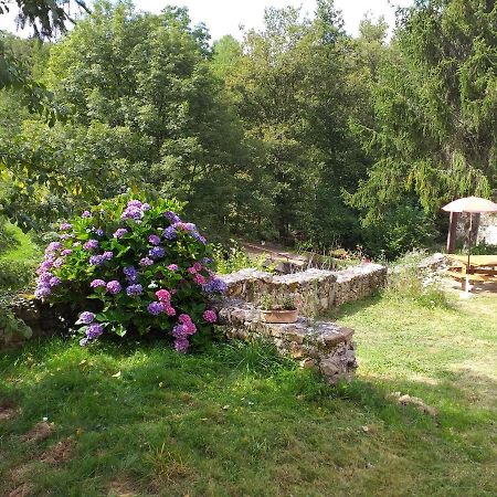 Gite Moulin De Ludieras Busserolles Екстериор снимка
