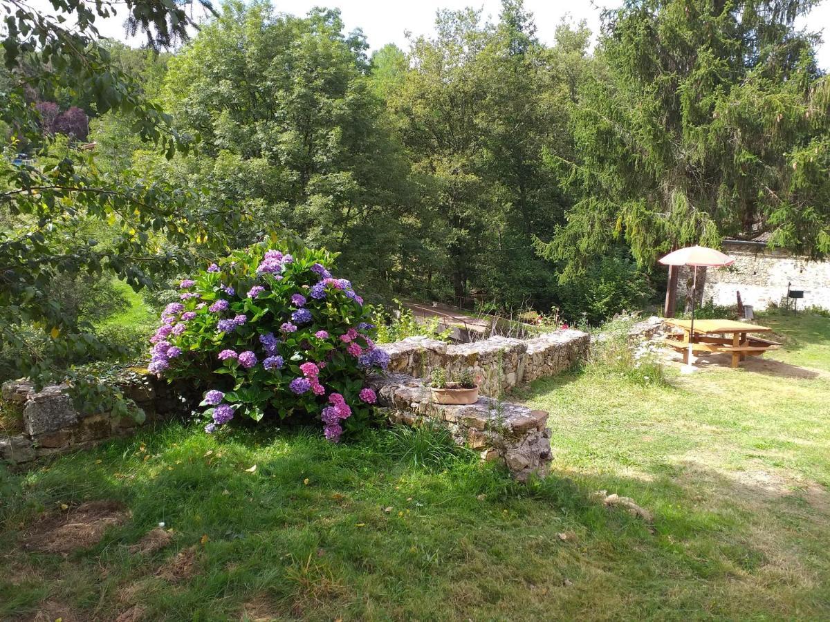 Gite Moulin De Ludieras Busserolles Екстериор снимка
